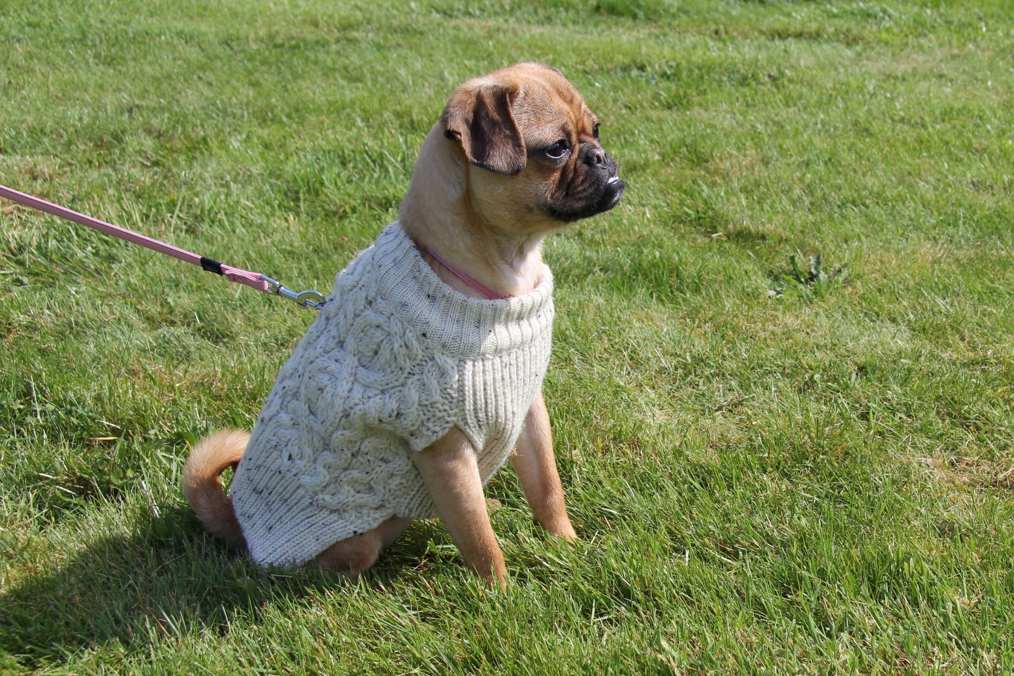 Hand knitted aran dog jumper 2872cms in back length