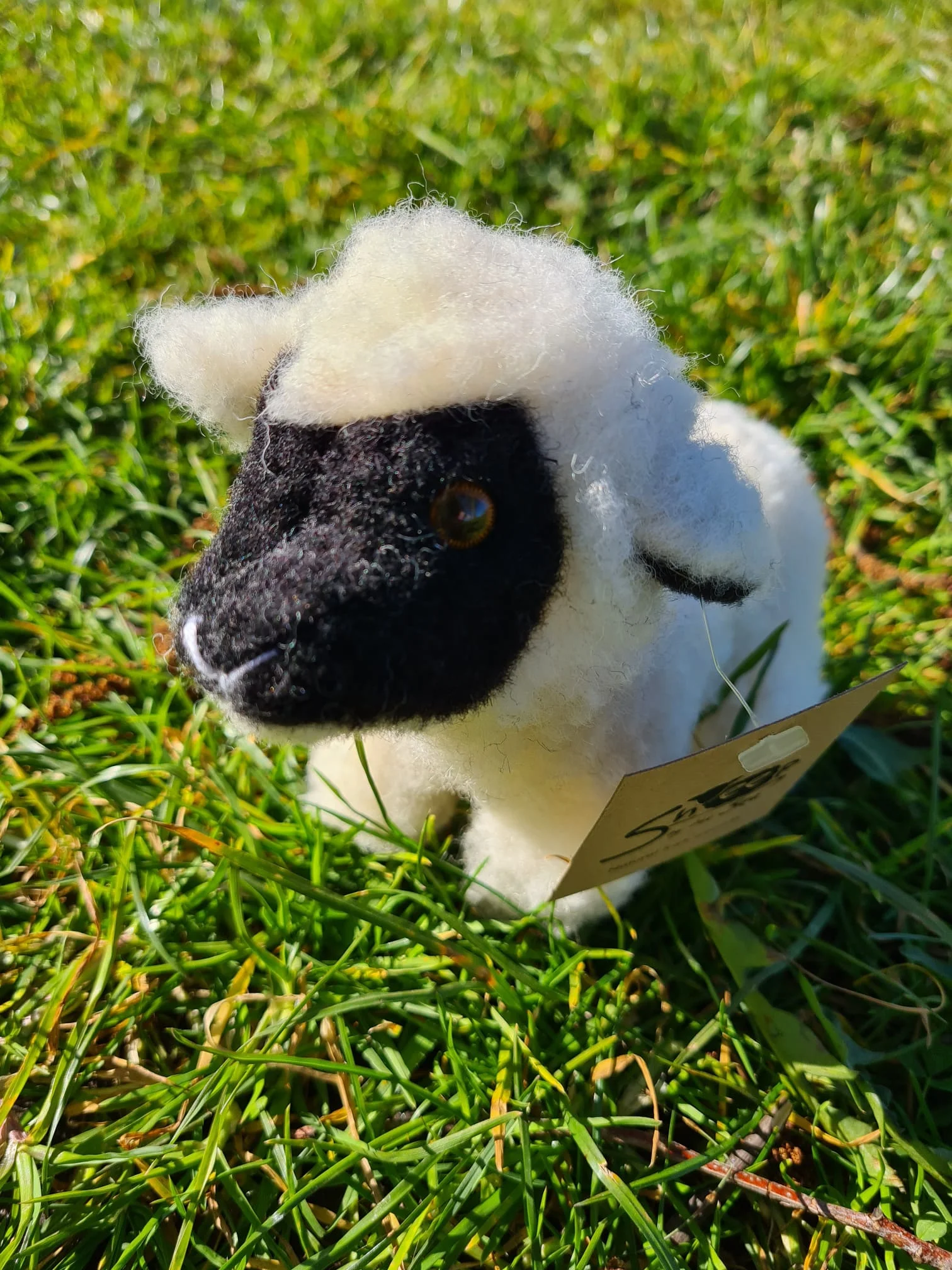 Mini Sheep Mascot - Image 3