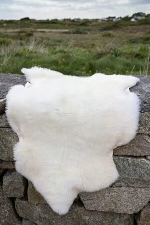 Sheepskin Rug