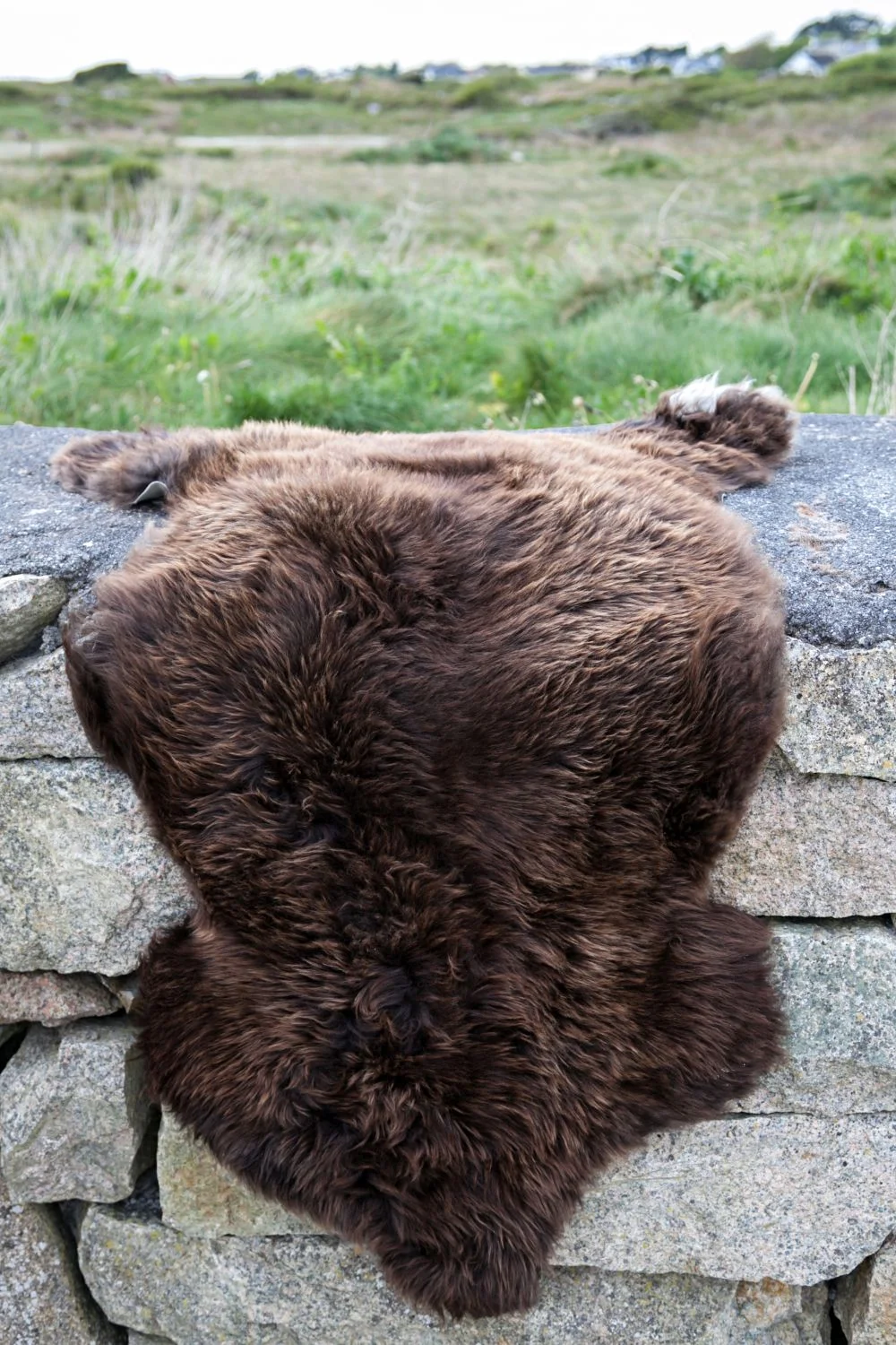 Sheepskin Rug - Image 2